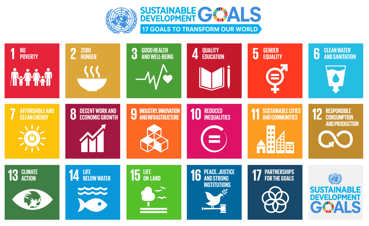 un sustainable development goals co2 brains